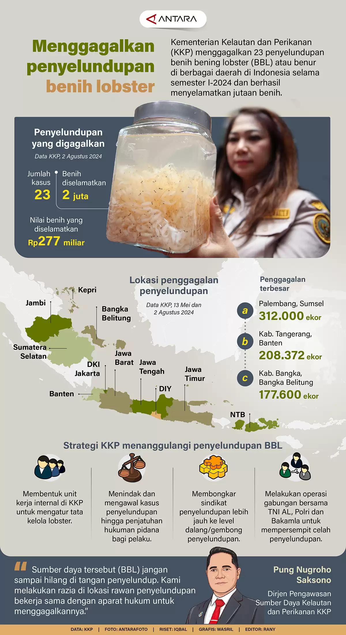 Infografis - Menggagalkan Penyelundupan Benih Lobster