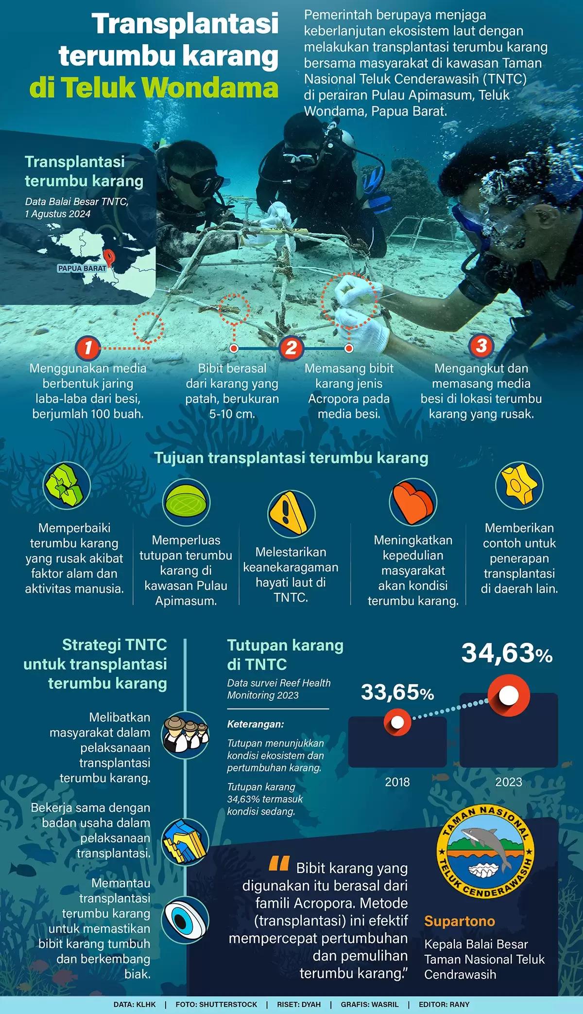 Infografis - Transplantasi Terumbu Karang Teluk Wondama