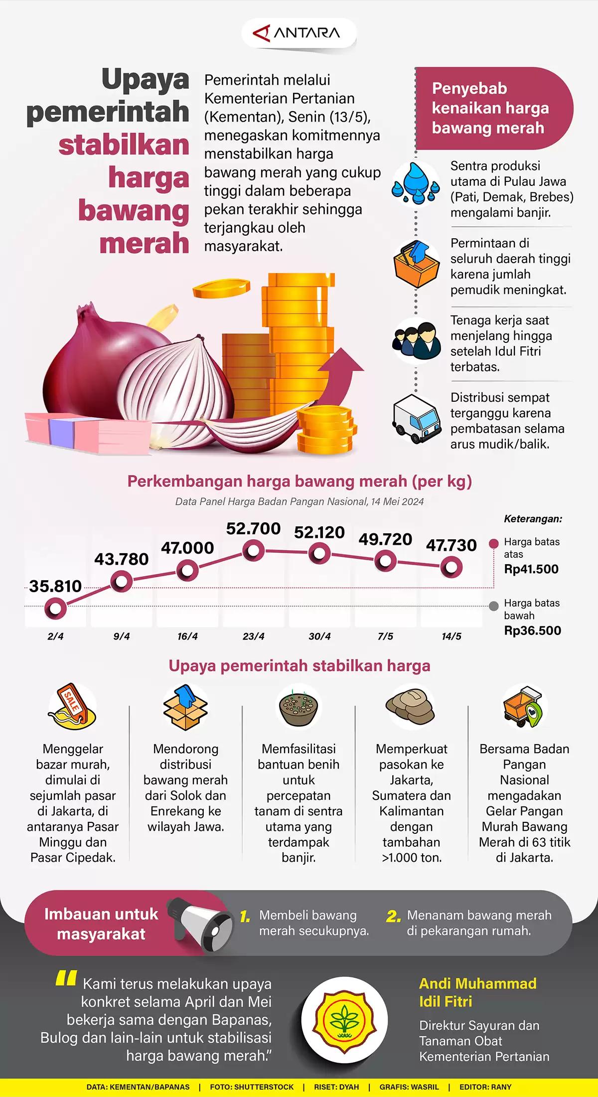 Infografis - Upaya Pemerintah Stabilkan Harga Bawang Merah