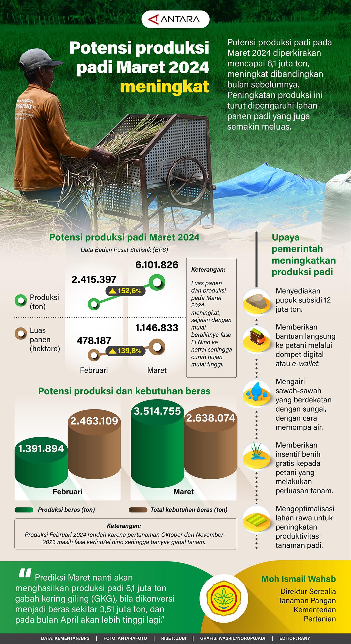 Infografis - Potensi Produksi Padi Maret 2024 Meningkat